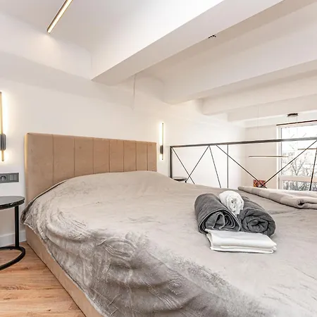 Cozy Loft In Center Apartment