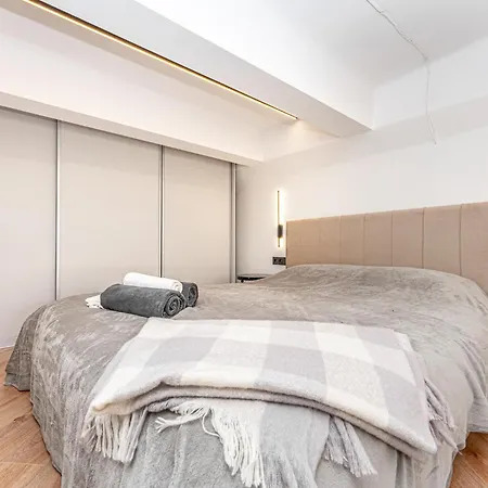 公寓 Cozy Loft In Center 维尔纽斯