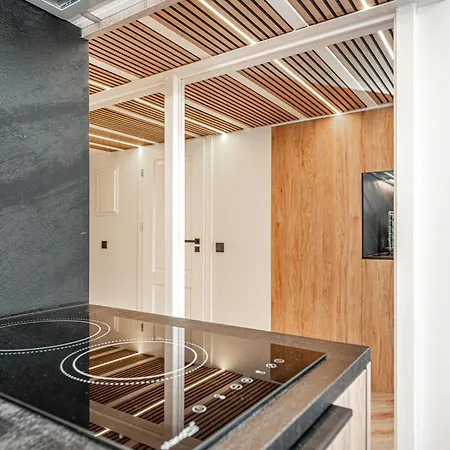 Cozy Loft In Center * Вільнюс