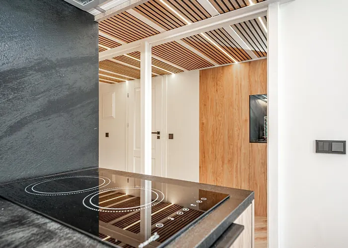 Cozy Loft In Center * Вільнюс